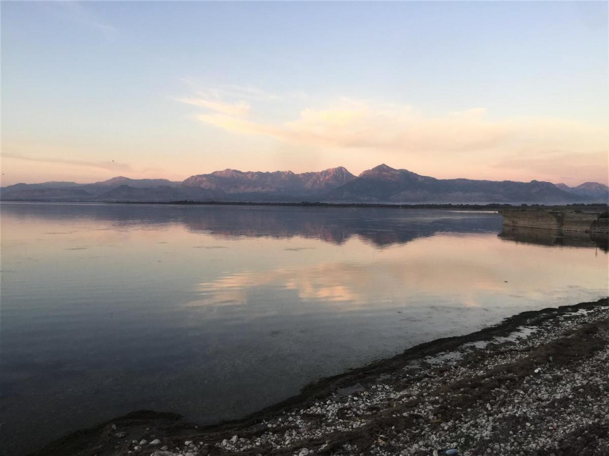 Florians GuesthouseShkodër エクステリア 写真