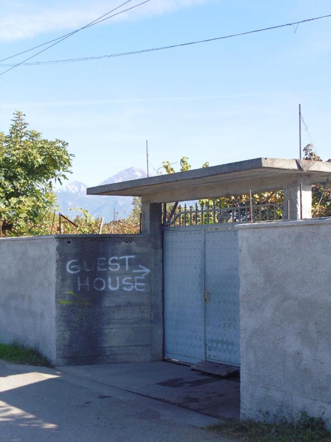 Florians GuesthouseShkodër エクステリア 写真