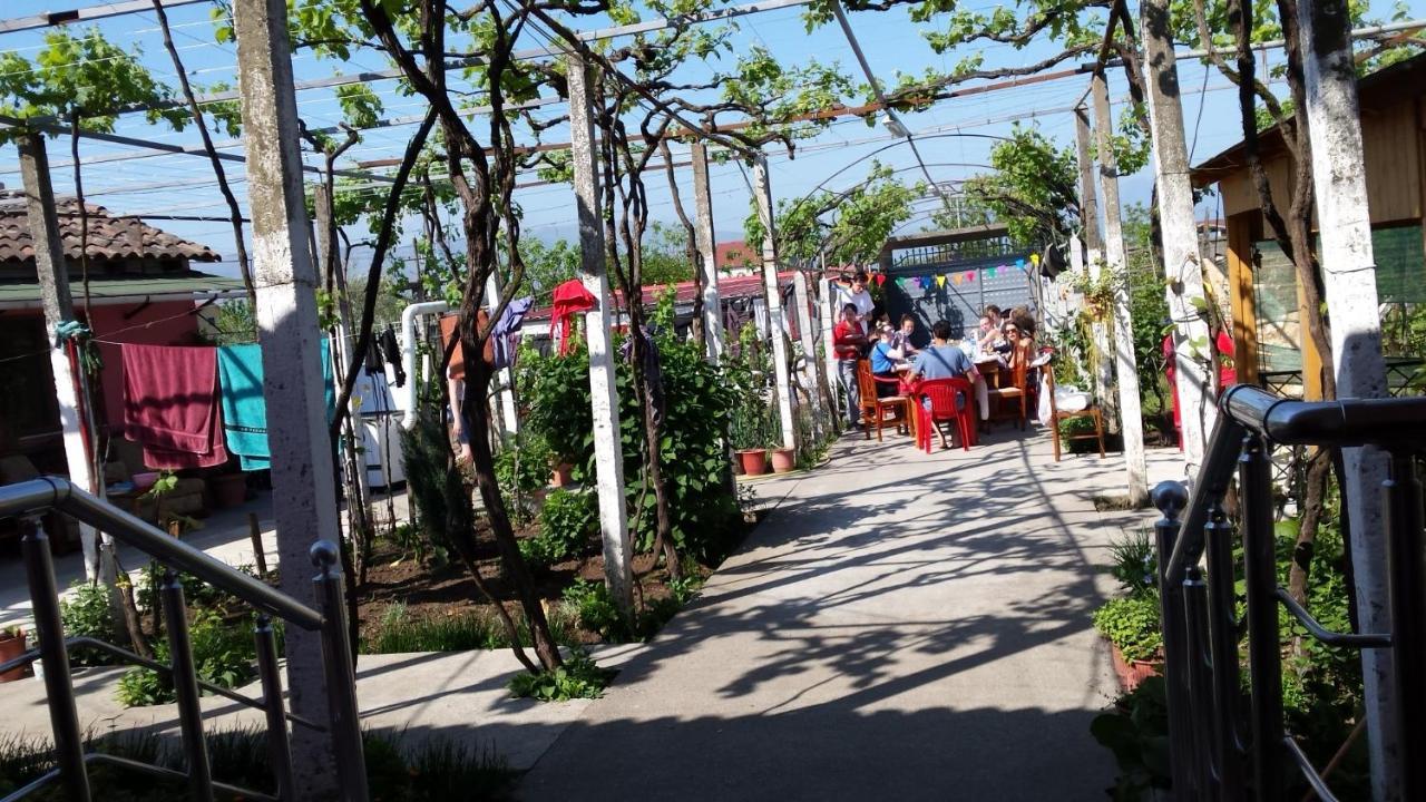 Florians GuesthouseShkodër エクステリア 写真